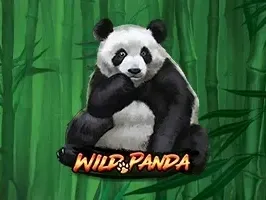 แพนด้าป่าไผ่ game thumbnail